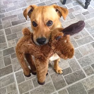 Meet your Posher, Margaret